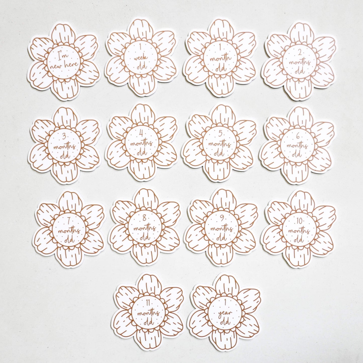 Flower Milestone Cards Printed (set of 14)